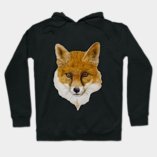 Red Fox portrait Hoodie